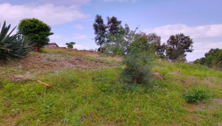 Plots for sale along Naivasha Road:...