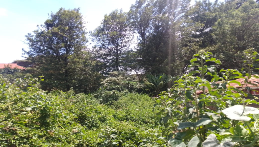 0.62 Acre Plot for Sale in Riruta: C...