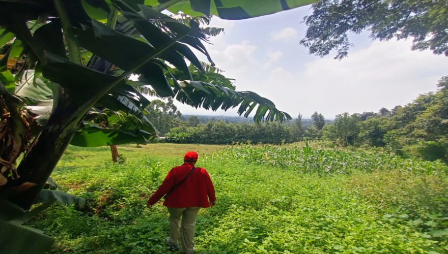 1.2 Acres Prime Land for Sale – Uppe...