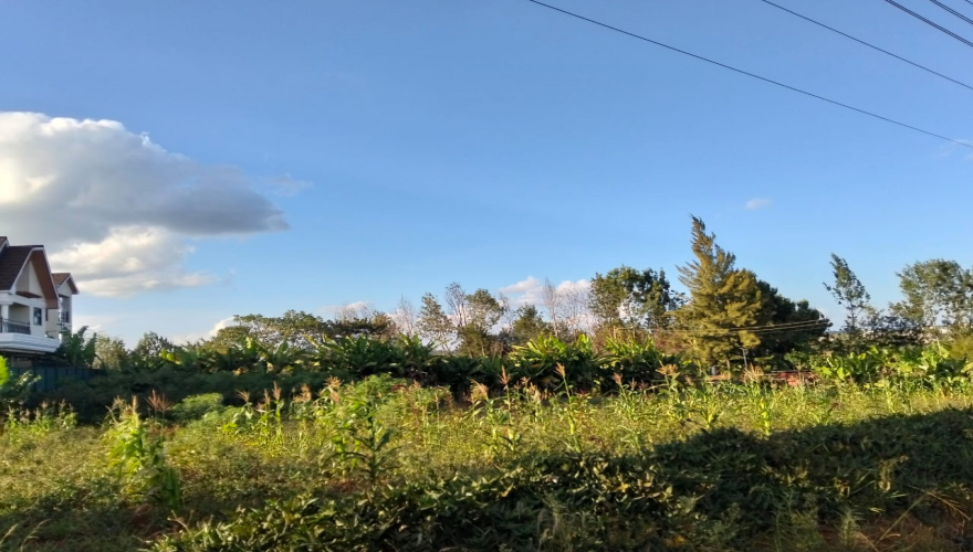 1/4 Acre Plot for Sale: Mhasibu Silv...