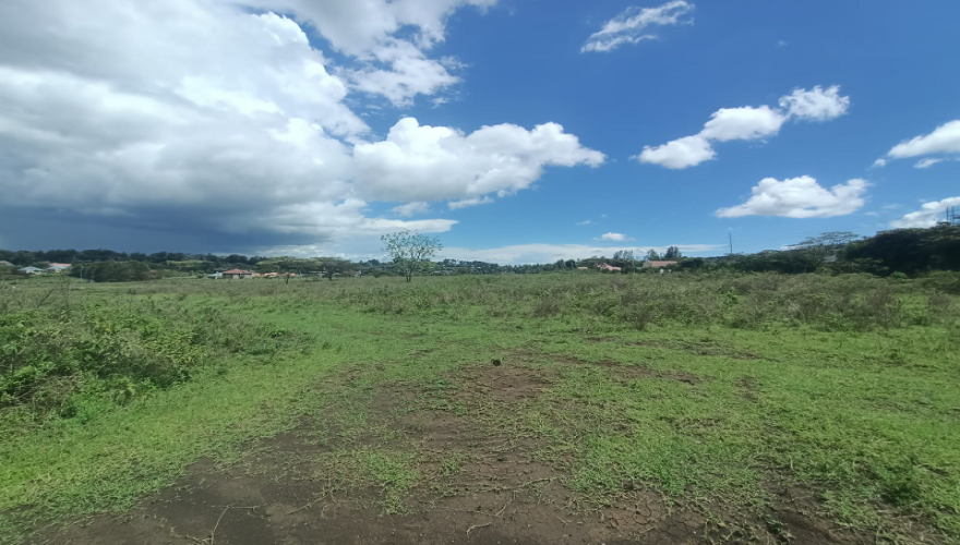🌿 1/4 Acre Plots for Sale – Kiserian...