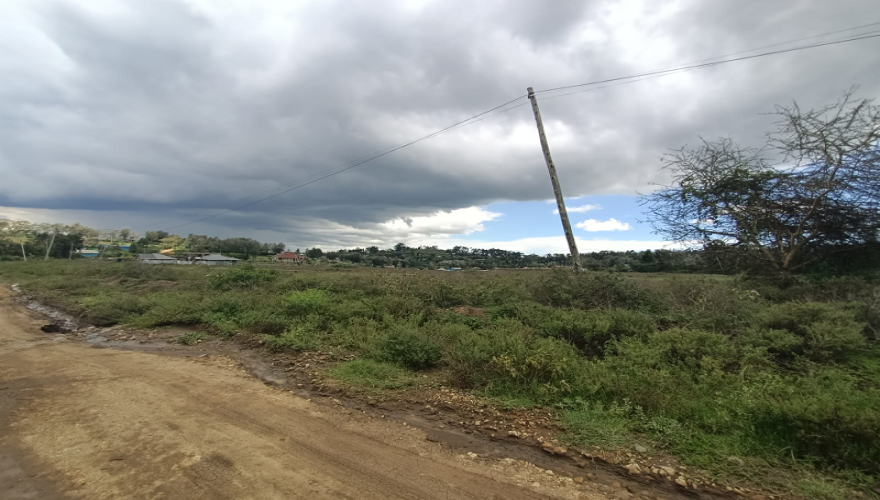 🌿 1/4 Acre Plots for Sale – Kiserian...