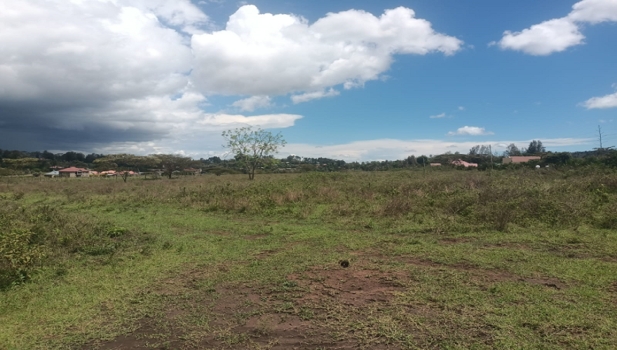 🌿 1/4 Acre Plots for Sale – Kiserian...