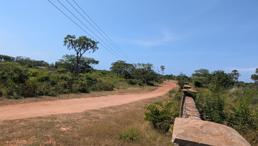 DIANI LAND FOR SALE