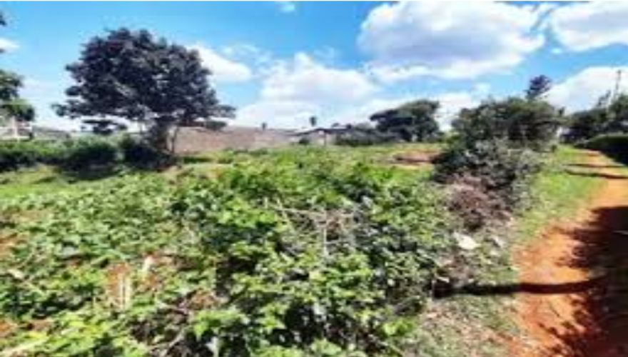 GACHIE 50x100 PLOT FOR SALE