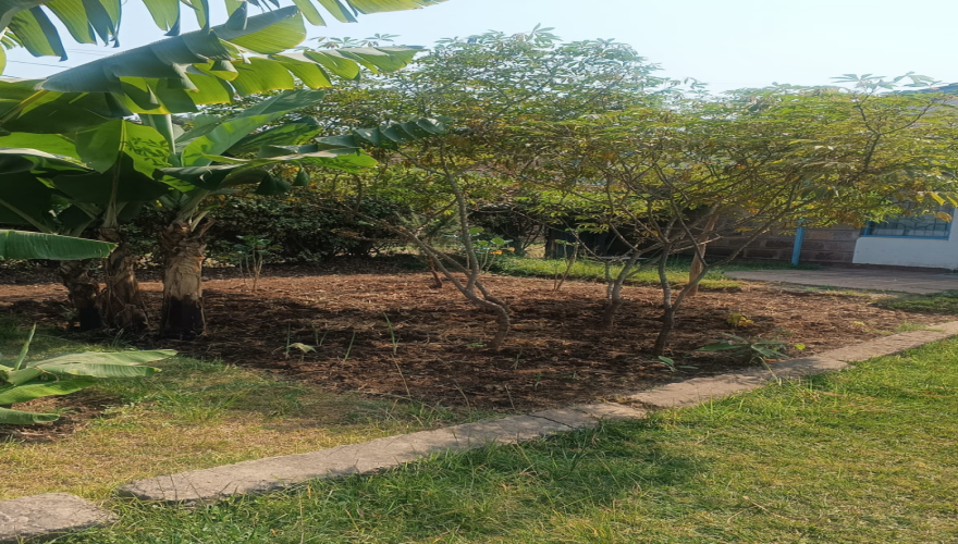 GREENSTEAD ESTATE 1/8th PLOT FOR SAL...