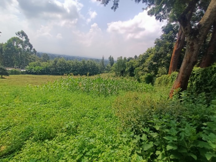 Ndumbuini Plot - Prime location for Commercial Development in Lower Kabete