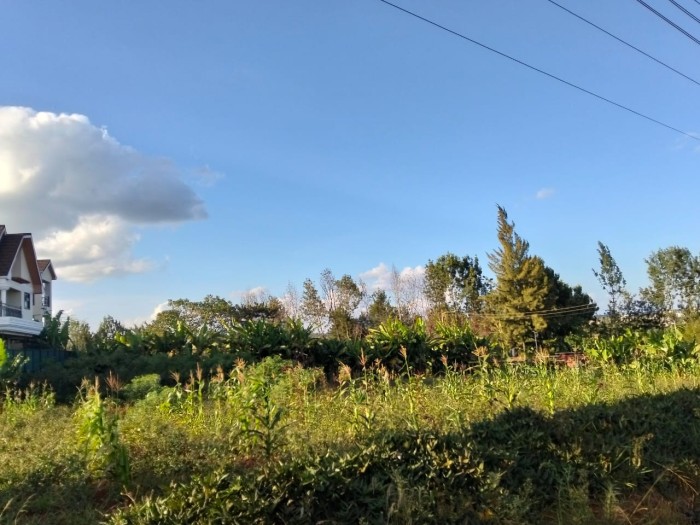 1/4 Acre Plot for Sale: Mhasibu Silver Birch Estate, Ruiru