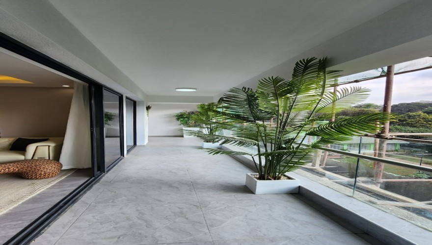 Diamond Ivy - A real Gem for real lu...