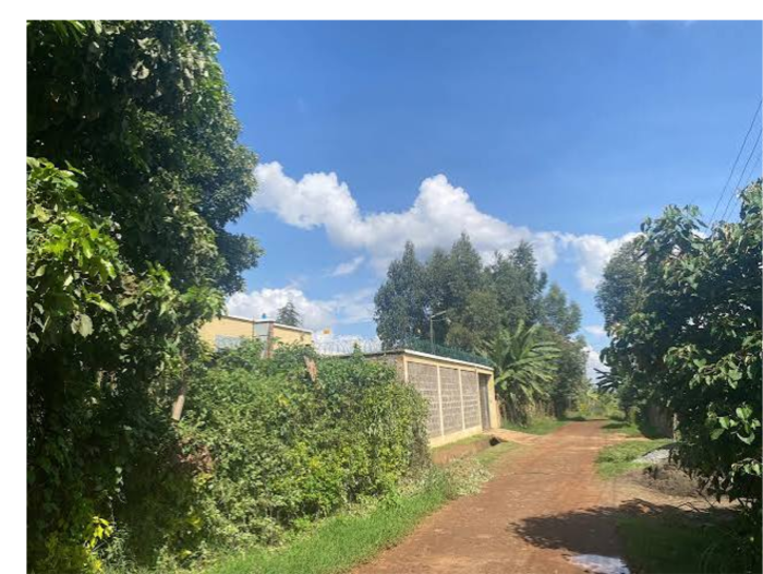 NDENDERU 50x100 PLOT FOR SALE