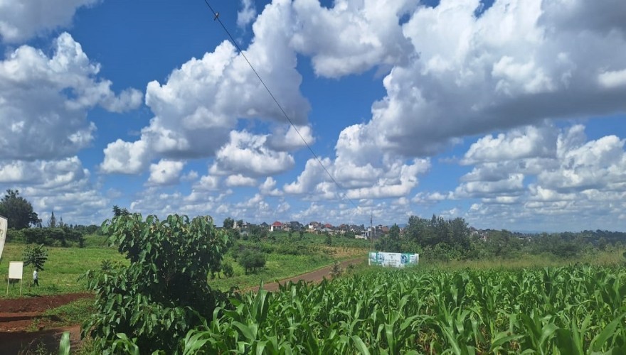 Ruiru Mugutha - Plots within A Gated...