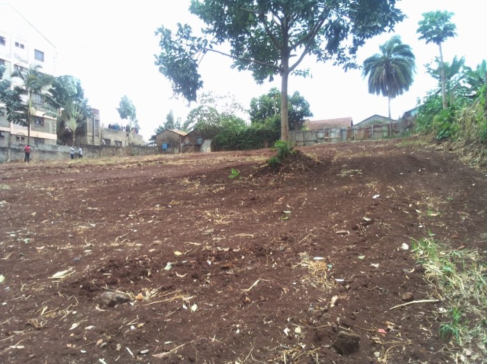 Kiambu Town Plot: 1/2 Acre commercial/Residential Plot in the heart of Kiambu Town