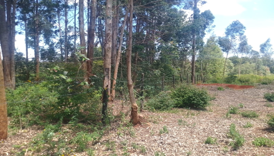1/2 (Half) Acre  Plot for Sale along...