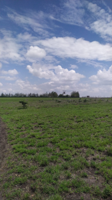 15 Acres for Sale in Kajiado – Prime Investment Opportunity