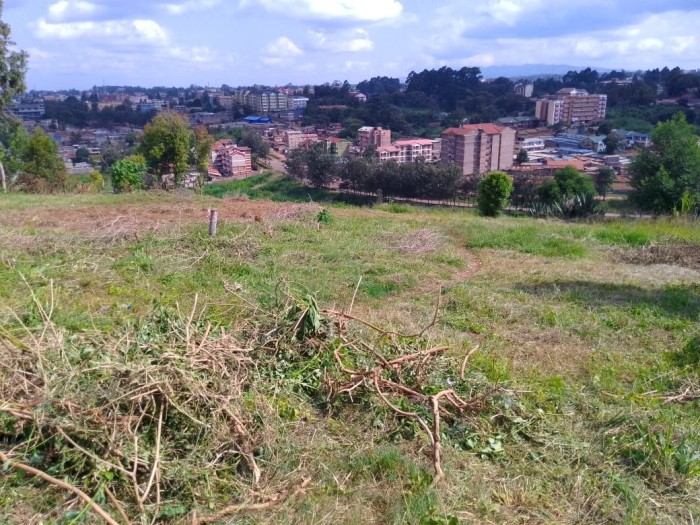 Plots for sale along Naivasha Road: Enjoy Ngong Rd views