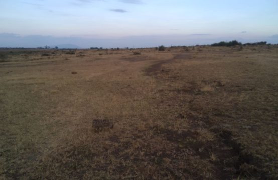 50 by 100 Plots for sale at 4million Mwiki
