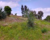 Dagoretti, Nairobi, ,Land,For Sale,Dagoretti,1028