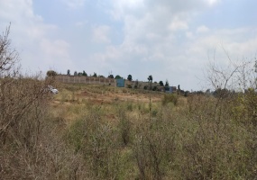 Ruiru, Thika, ,Land,For Sale,Ruiru,1029