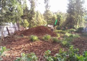 Lower Kabete, Nairobi, ,Land,For Sale,Lower Kabete,1034