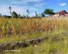 Ruai, Nairobi, ,Land,For Sale,Ruai,1036