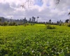 Gituru, Kandara, ,Land,For Sale,Gituru,1039