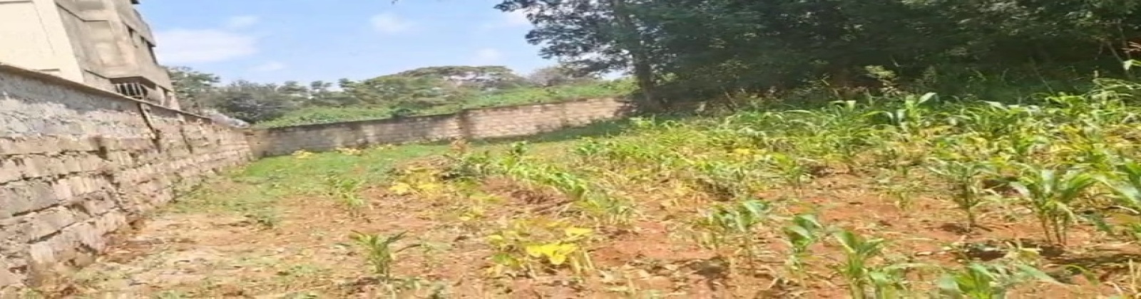 Lower Kabete, Nairobi, ,Land,For Sale,Lower Kabete,1066