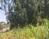 Lower Kabete, Nairobi, ,Land,For Sale,Lower Kabete,1066