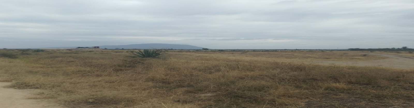 Malaa, Kangundo, ,Land,For Sale,Malaa,1068