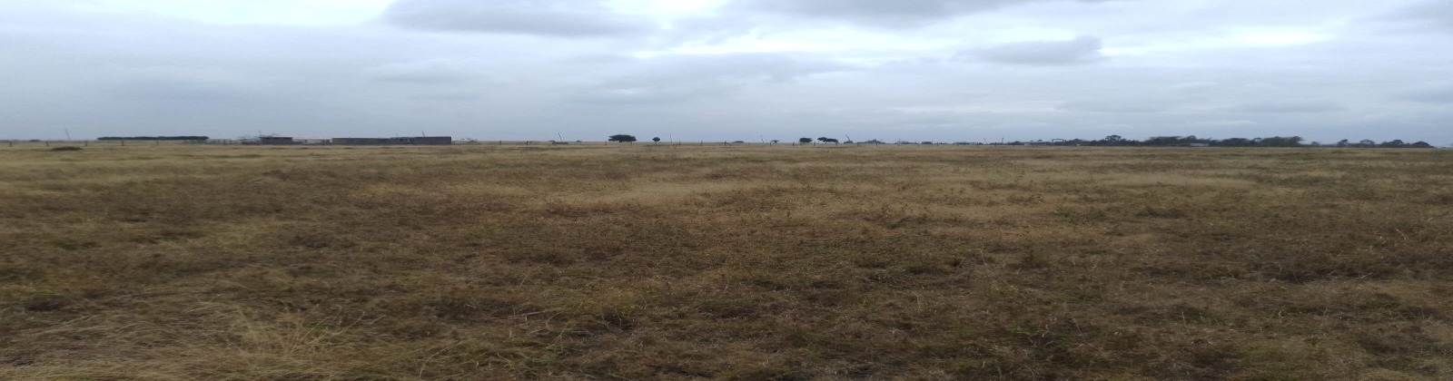 Milimani, Kitengela, ,Land,For Sale,Milimani,1095